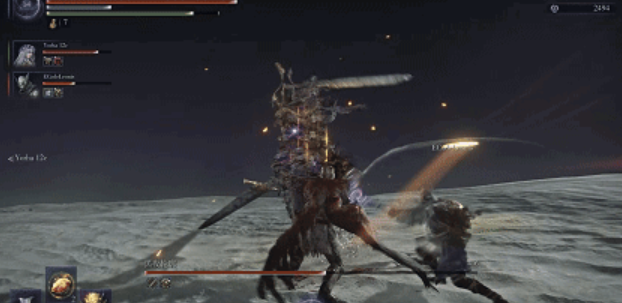 《艾尔登法环:黑夜君临》守护者强度介绍