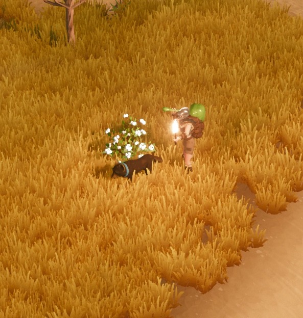 《莱恩岛生存指南》棉花获取方法介绍