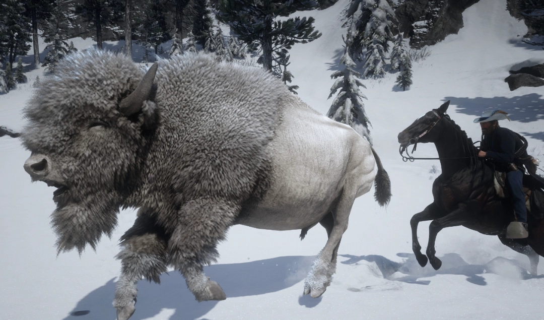 《荒野大镖客2》传说白野牛捕获方法介绍