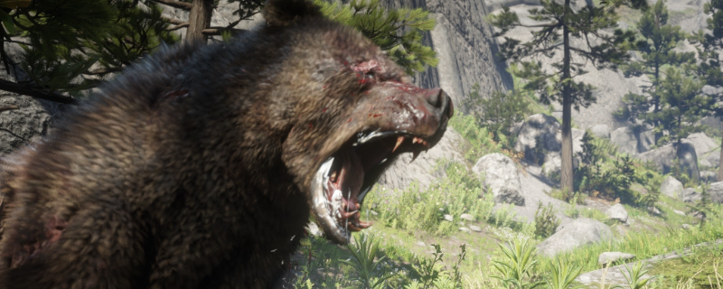 《荒野大镖客2》传说灰熊巴拉蒂捕获方法介绍