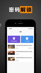 苹果私密视频如何加密