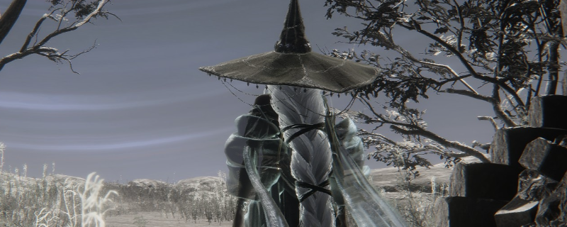 《艾尔登法环：黑夜君临》隐士游玩心得分享