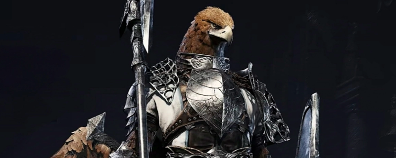 《艾尔登法环：黑夜君临》守护者玩法介绍