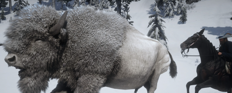 《荒野大镖客2》传说白野牛捕获方法介绍