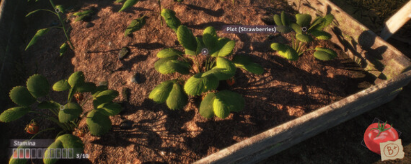 《绯花绽放》游戏配置要求介绍