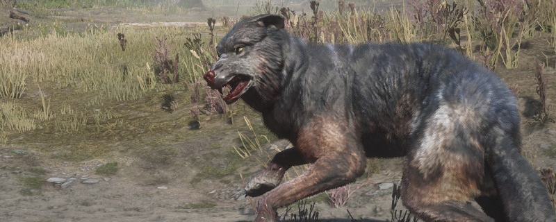 《荒野大镖客2》传说狼捕获方法介绍