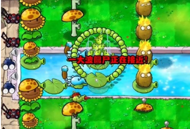 1715916868408073.png image.png