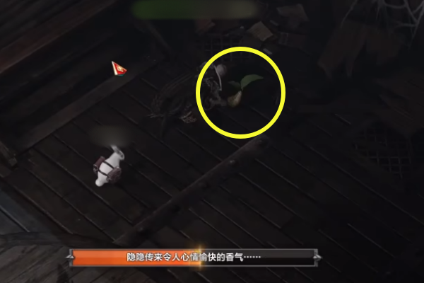 命运方舟渴望岛摩可可收集位置