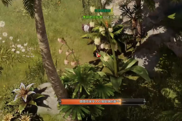 命运方舟睡歌岛摩可可获取方法