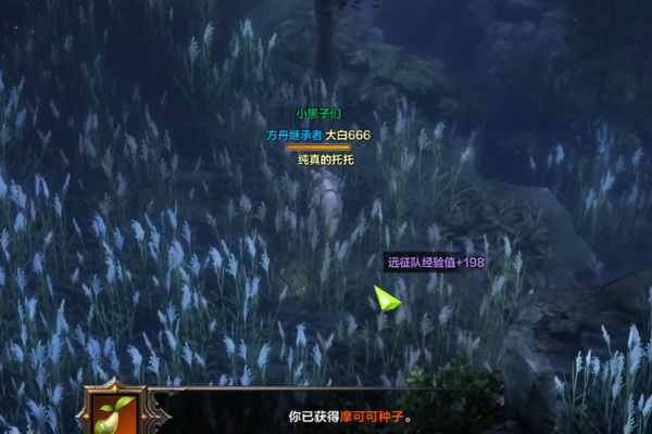 星光灯塔岛摩可可位置介绍