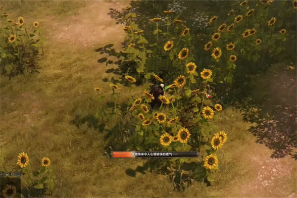 命运方舟向日葵岛摩可可位置介绍