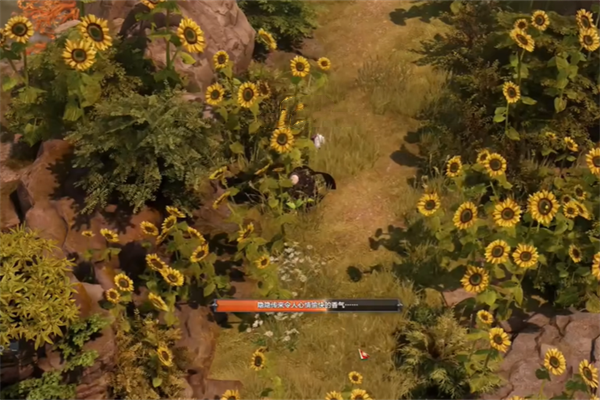 命运方舟向日葵岛摩可可位置介绍