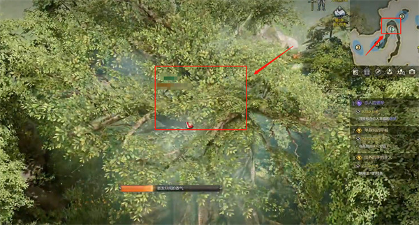 命运方舟波莫纳岛摩可可介绍