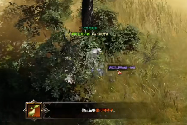 命运方舟艾弗格雷斯的巢穴摩可可在哪