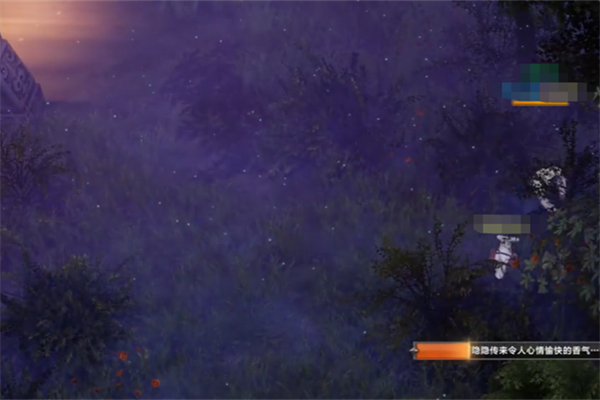 命运方舟扭曲次元岛摩可可位置