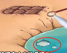 玩梗了解一下奶奶觉得你饿攻略