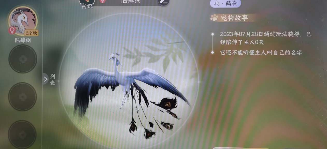 逆水寒手游凤凰宠物怎么获得