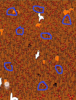 全民剧本大师找公鸡找出8只公鸡怎么通关