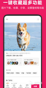 扫一扫能查询另一半情头的软件是什么