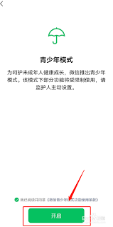 微信青少年模式怎么设置限制付款