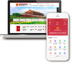 国家政务服务平台如何操作