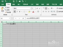 excel单元格内如何实现回车换行