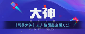 网易大神怎么查第五人格皮肤