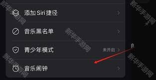 网易云音乐音乐闹钟功能如何使用