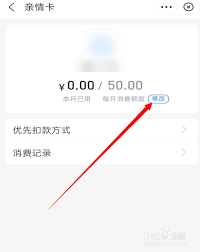 如何提高支付宝亲情卡额度