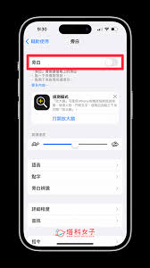 苹果手机怎样取消旁白