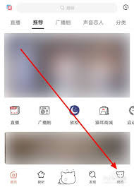 猫耳FM如何开启夜间模式