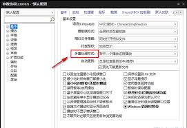 PotPlayer如何设置单窗口模式