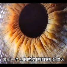 看到喜欢的人瞳孔会放大吗