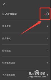 剪映水印设置开关在哪