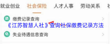 江苏智慧人社如何查看社保