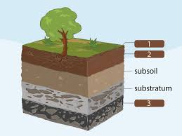 以土壤为底图土层心土层和什么