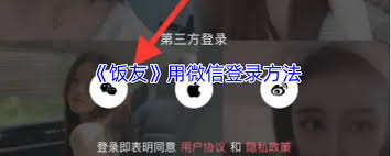 饭友如何使用微信登录