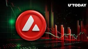 雪崩币有投资价值吗