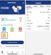 陕西养老保险app如何查找基本养老保险参保缴费凭证