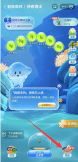 支付宝神奇海洋11.26答案是什么