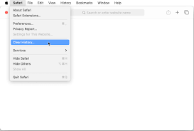 如何在Safari中删除Cookie