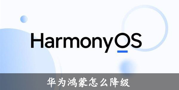 华为鸿蒙如何降级退回原来版本
