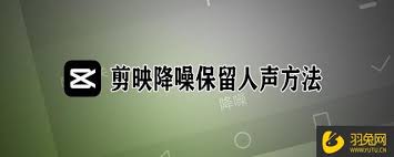 剪映如何去除人声