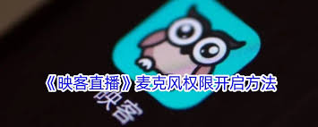 映客直播麦克风怎么开启