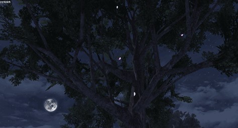 明日之后花瓣树飘叶树在哪个地方？花瓣树飘叶树位置介绍