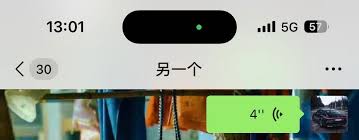 苹果15plus怎么截图带灵动岛