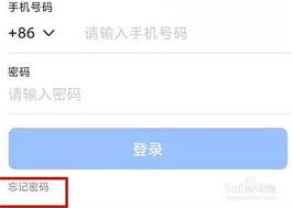 钉钉怎么查看自己的密码