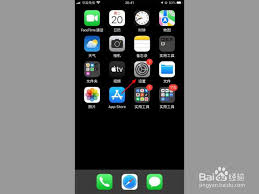 苹果手机屏幕上圆点如何设置