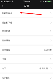 爱奇艺怎么设置主设备