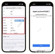 苹果手机id是什么格式